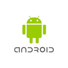 custom web designing india